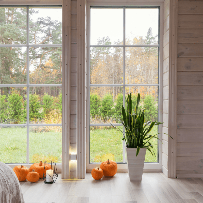 uv window film denver